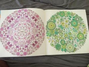 unnamed