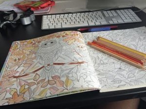unnamed2