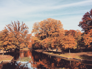 Képernyőfotó 2015-10-30 - 13.44.10